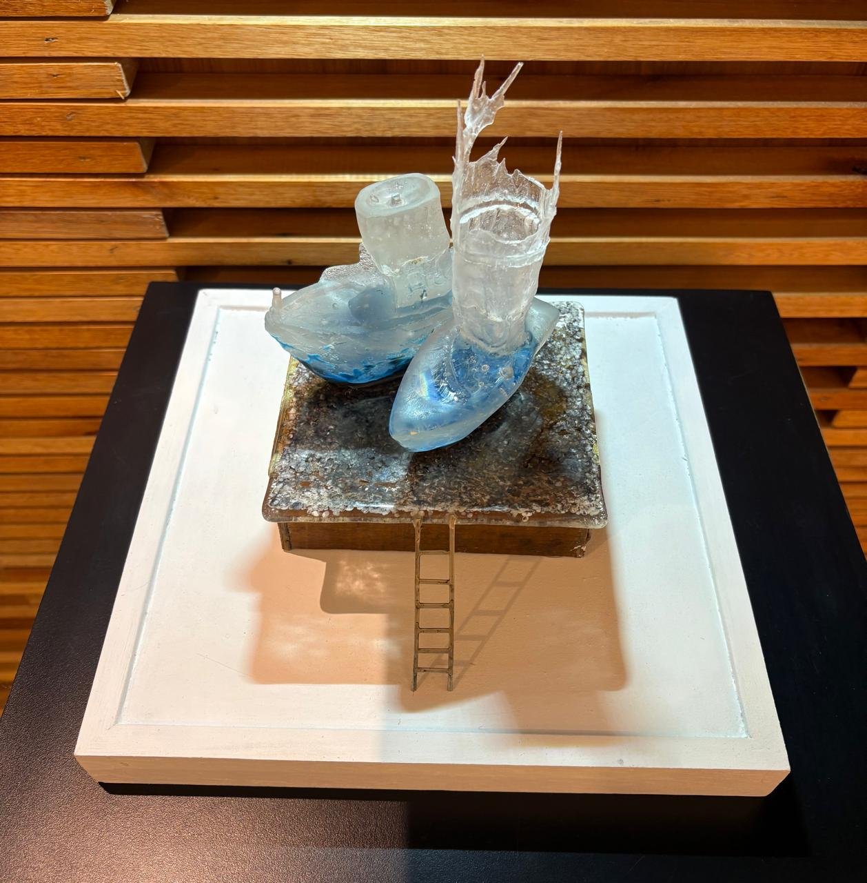 WhatsApp Image 2025-09-04 at 1.45.33 PM Corina y Langostino/Técnica: Casting